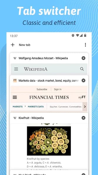 Kiwi Browser – Fast & Quiet 124.0.6327.4