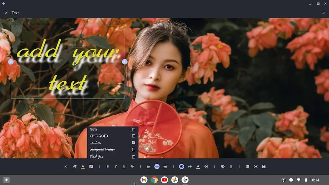 Oojao Image Editor 5.8.b213