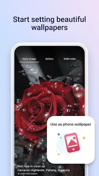 Microsoft Start: News & more 28.6.420624006