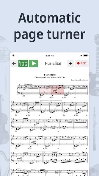 Tuner & Metronome 7.96