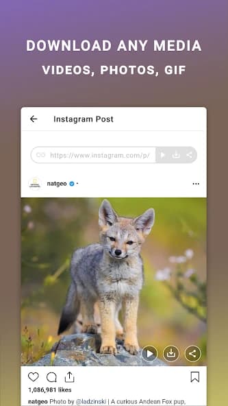 Friendly For Instagram 2.6.2