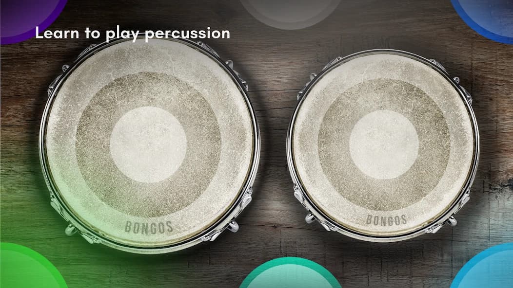 Congas & Bongos: percussions 8.41.2