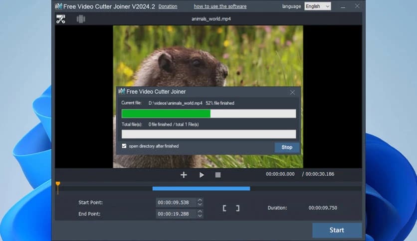 DVDVideoMedia Audio Video Cutter Joiner Suite 2025.5