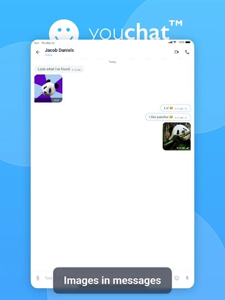 YouChat 2.0 v2.1.1