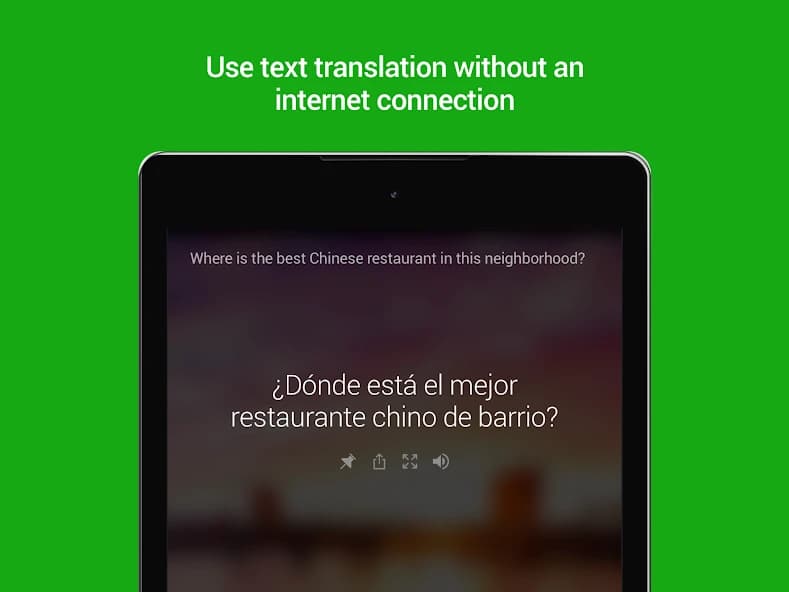 Microsoft Translator 4.0.542a 2b44aba7
