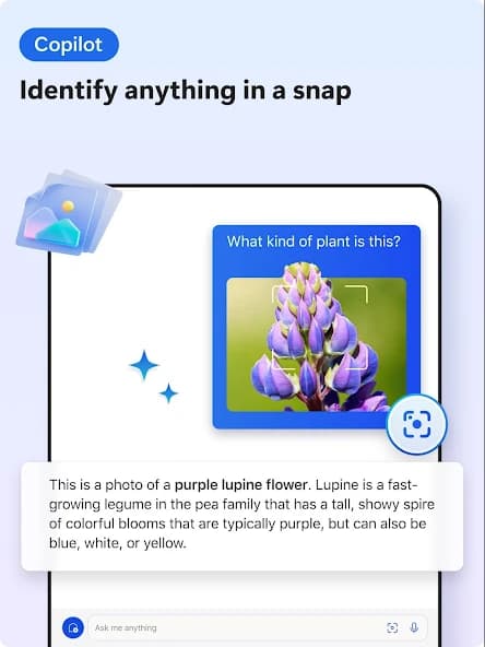 Microsoft Edge: AI browser 127.0.2651.82