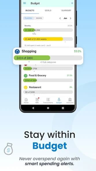 Bill Payment Organizer, Budget 1.25.004