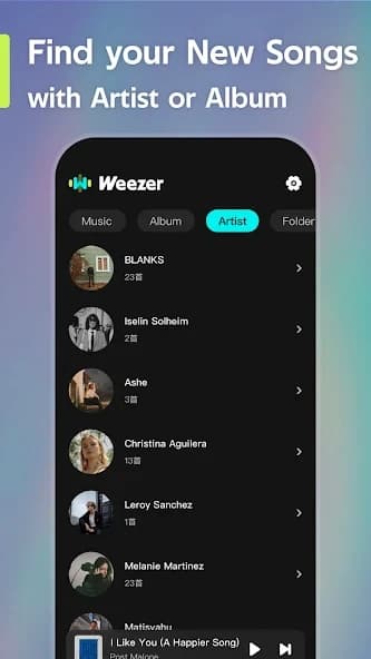Offline Music Player- Weezer 3.5.0