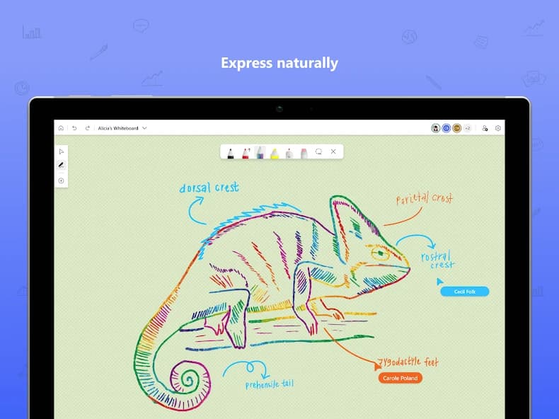 Microsoft Whiteboard 1.301.0.24011723