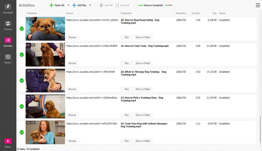 Heidi Software Internet Video Downloader 7.10