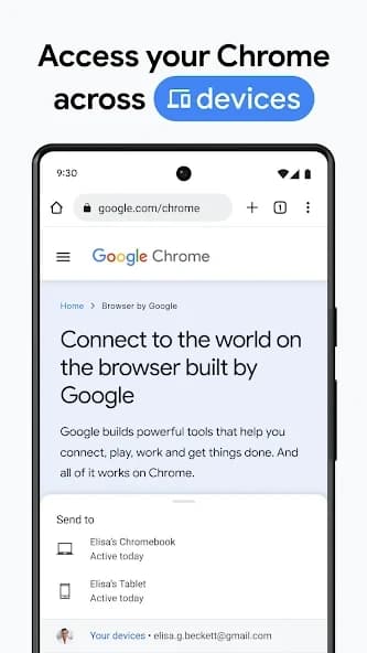 Google Chrome 127.0.6533.103