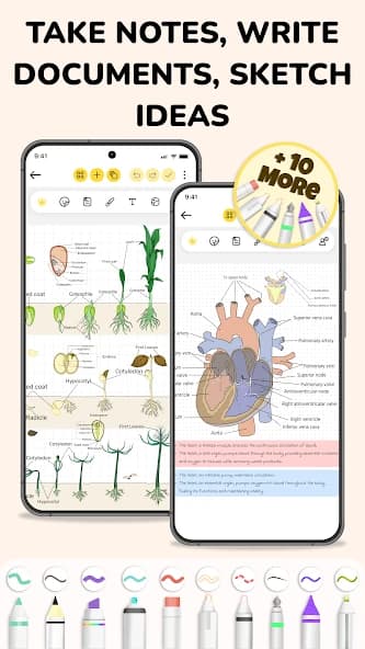 Journal: Notes, Planner, PDFs 144.0