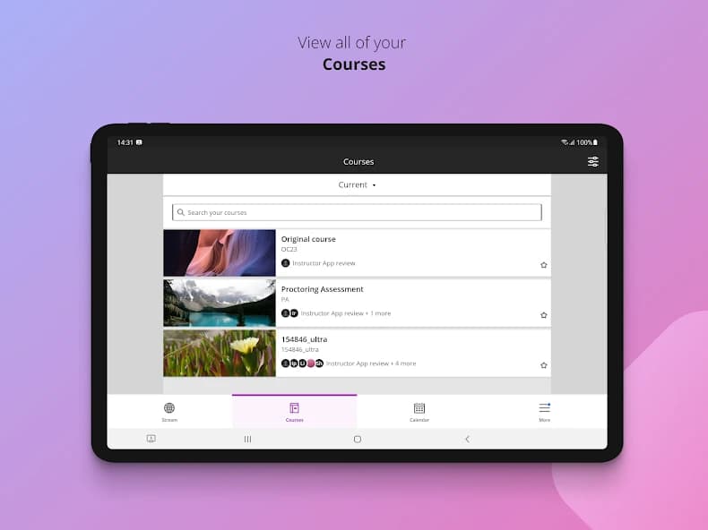Blackboard Learn 9.6.0