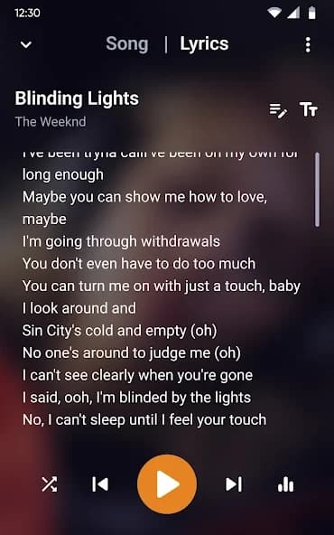 Music Player – MP3 Player 12.1