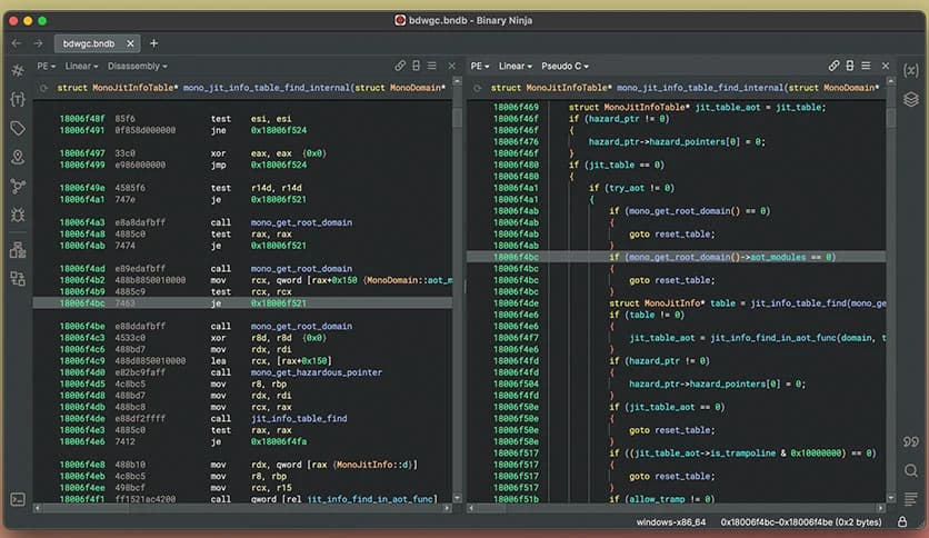 Vector 35 Binary Ninja 4.1.5902