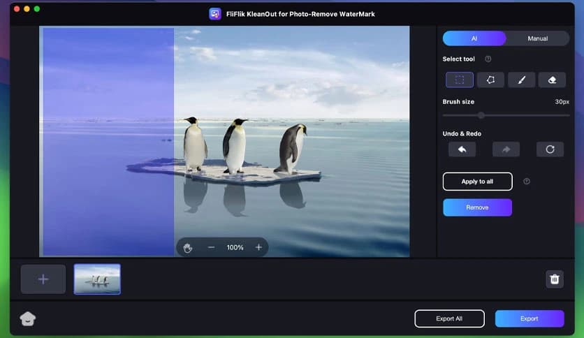 FliFlik KleanOut for Photo 6.3.0