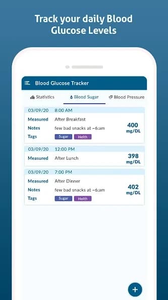 Diabetes Diary – Blood Glucose 1.33
