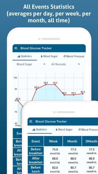 Diabetes Diary – Blood Glucose 1.33