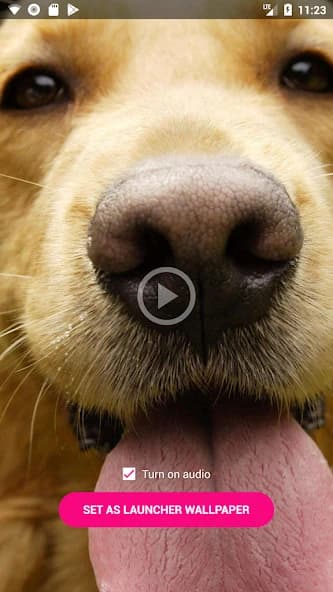 Video Live Wallpaper Maker 4.0.0