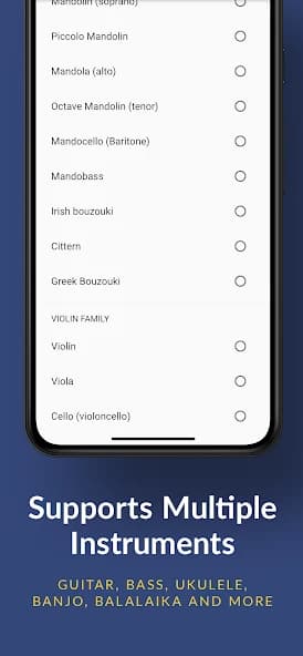 Pro Guitar Tuner 4.0.24