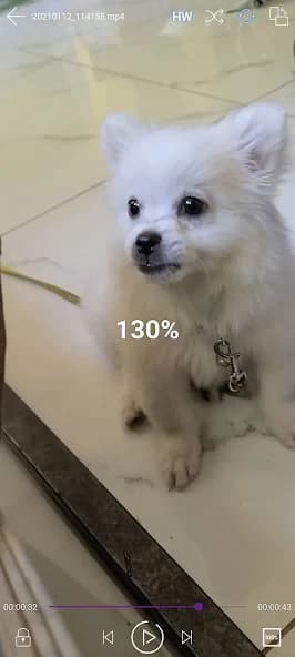 Video player and browser 2.9.5