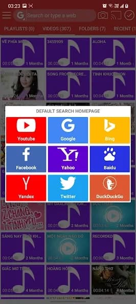 Video player and browser 2.9.5