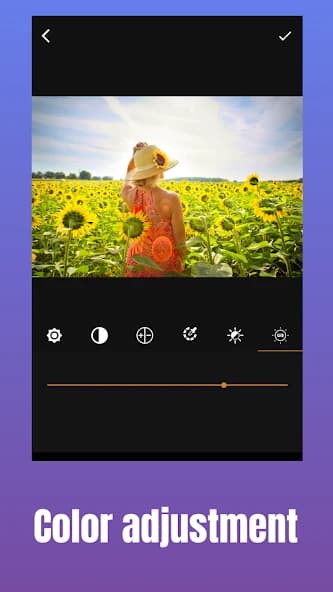 GIF Maker, Video to GIF Editor 2.0.4