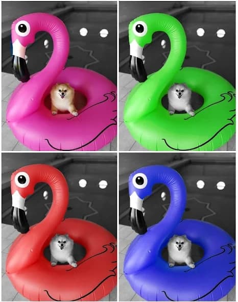 Partial Color Master – Editor 1.15.0