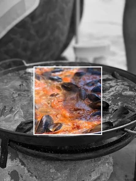 Partial Color Master – Editor 1.15.0