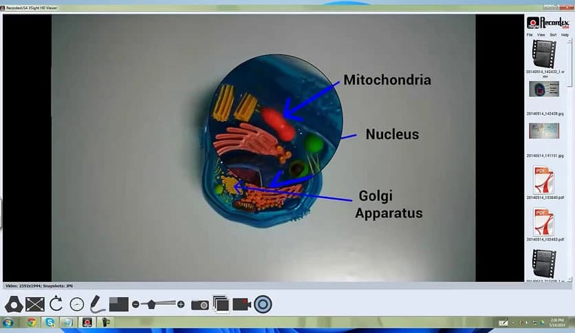 Recordex USA XSight HD 2.9.5.21107