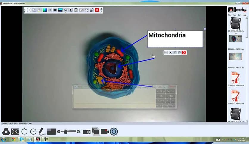 Recordex USA XSight HD 2.9.5.21107