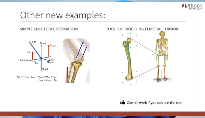 AnyBody Technologies Modeling System 8.0.4.11890