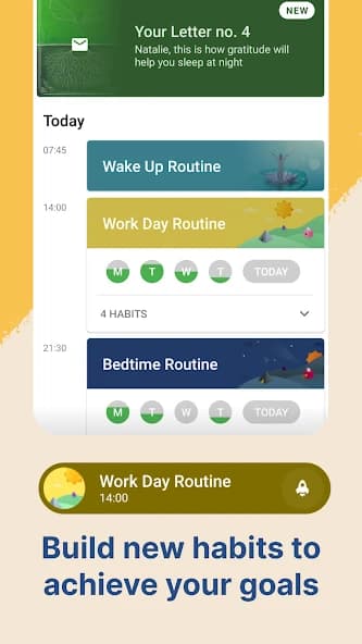 Fabulous Daily Routine Planner 11.4