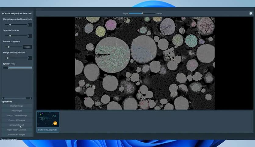 Avizo Trueput Software 2024.1