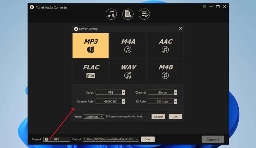 Tunelf Audio Converter 1.5.0.11