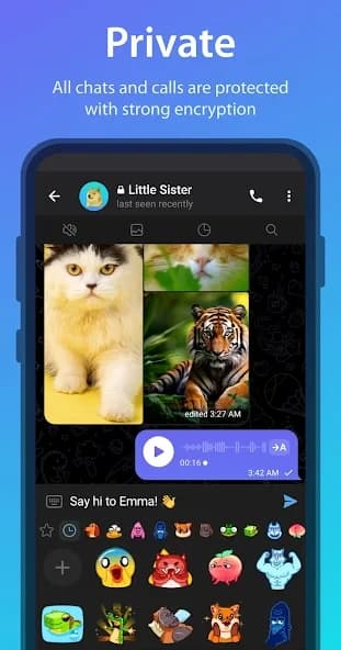 iMe: AI Messenger for Telegram 12.2.3