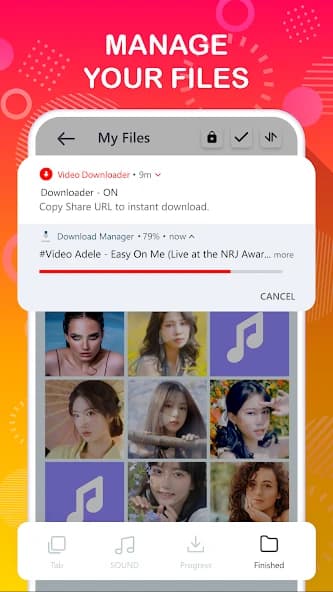 Tube Video Downloader 2.7