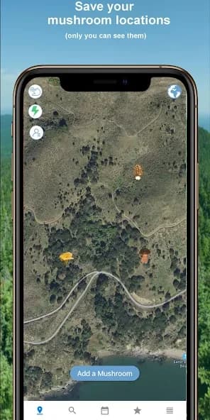 Mushroom Identify – Automatic 2.97