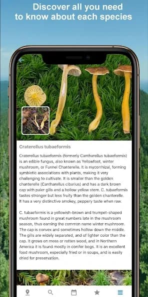 Mushroom Identify – Automatic 2.97