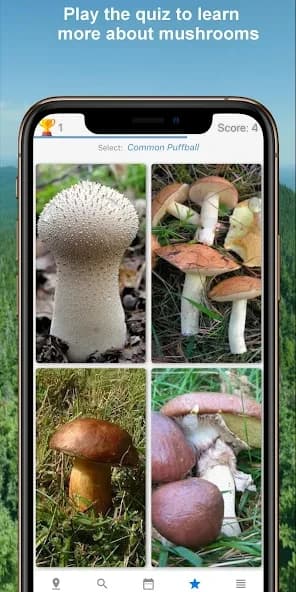 Mushroom Identify – Automatic 2.97