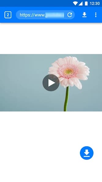 Master Video Downloader 2.1