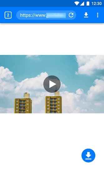 Master Video Downloader 2.1