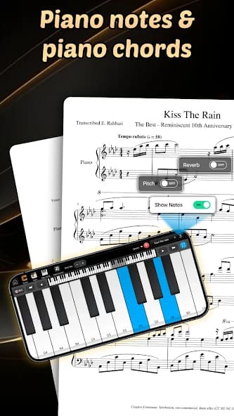 Learn Piano – Piano lessons 11.0