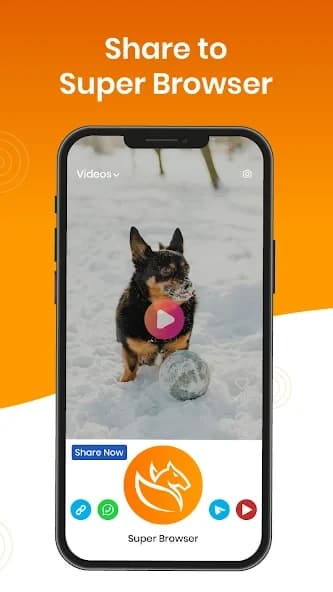 Super Browser: Fast & Private 5.1.5