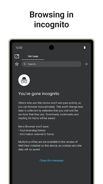 Berry Browser 3.75.57.1