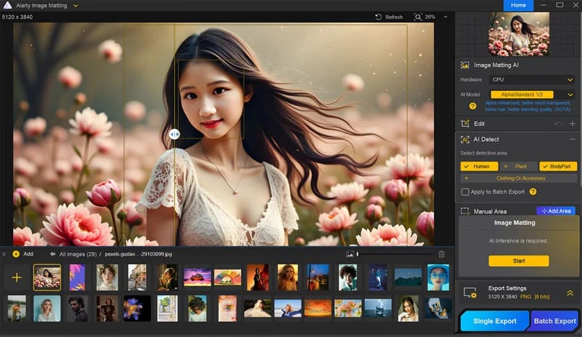 Digiarty AIArty Image Matting 2.6