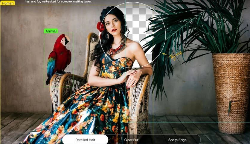 Digiarty AIArty Image Matting 2.6