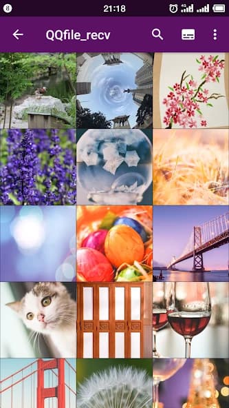 Smart Gallery – Photo Manager 2.1.25