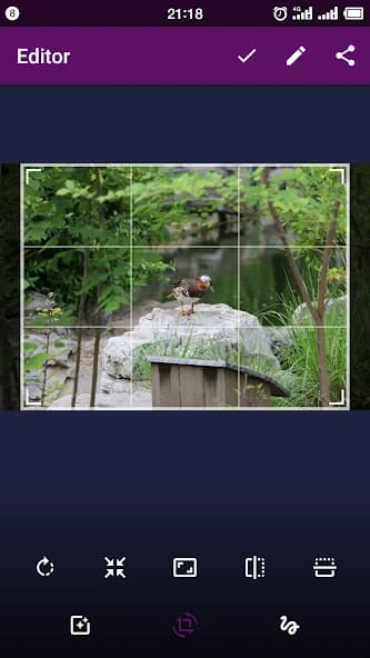 Smart Gallery – Photo Manager 2.1.25