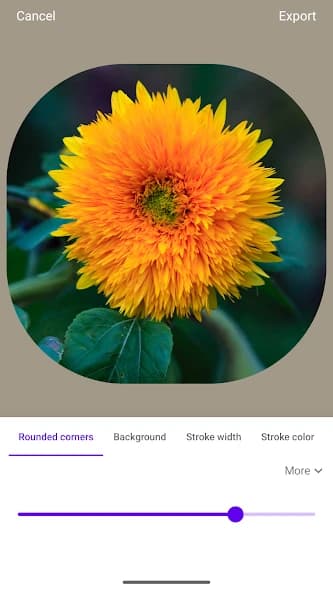 Round Photo Maker 1.5.8